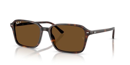 Ray-Ban RB2231 Raimond L (56 - 18) mit Braunen Linsen und Tortoise frame Sonnenbrillen