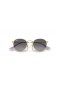 Ray-Ban RB9547S Runde Kinder S (44 - 19) mit Grauen Linsen und Gold Rahmen Sonnenbrille