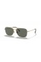 Ray-Ban RB8136M Caravan Titan-XL (58 - 15) mit Grünen Gläsern und Gold Rahmen Sonnenbrille