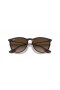 Ray-Ban RB4171 Erika Classic M (54 - 18) mit Braunen Linsen und Tortoise frame Sonnenbrillen