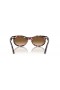 Ray-Ban RB2242 Wayfarer Oval L (53 - 22) mit Braunen Linsen und Tortoise frame Sonnenbrillen