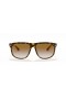 Ray-Ban RB4147 Freund S - (56 - 15) mit Braunen Linsen und Tortoise frame Sonnenbrillen