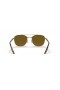 Ray-Ban RB3688 M (55 - 19) mit Braunen Linsen und Gold Rahmen Sonnenbrille