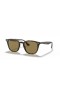 Ray-Ban RB4258F L (52 - 20) mit Braunen Linsen und Tortoise frame Sonnenbrillen