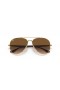 Ray-Ban RB3675 XL (58 - 14) mit Braunen Linsen und Gold Rahmen Sonnenbrille