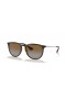 Ray-Ban RB4171 Erika Classic M (54 - 18) mit Braunen Linsen und Tortoise frame Sonnenbrillen
