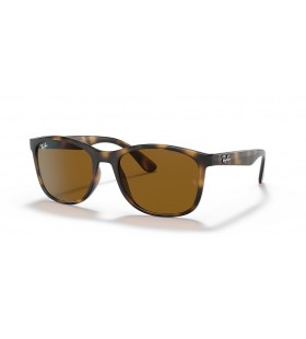 Ray-Ban RB4374 XL (56 - 19) mit Braunen Linsen und Tortoise frame Sonnenbrillen