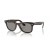 Ray-Ban RB2140 Original Wayfarer Classic L (50 - 22) mit Grauen Linsen und Tortoise frame Sonnenbrillen