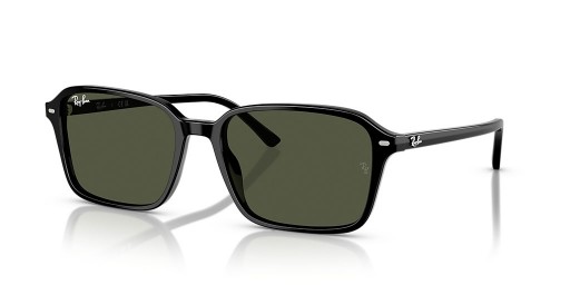 Ray-Ban RB2231 Ράιμοντ L (56 - 18) με Πράσινο φακούς και Μαύρα γυαλιά Ηλίου πλαισίων