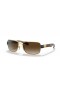 Ray-Ban RB3522 XXL (61 - 17) με Καφέ φακούς και γυαλιά Ηλίου πλαισίων Χρυσή
