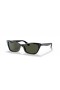 Ray-Ban RB2299 Κυρία Burbank S (52 - 20) με Πράσινο φακούς και Μαύρα γυαλιά Ηλίου πλαισίων