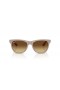 Ray-Ban RB4184 M (54 - 17) με Καφέ φακούς και Καφετιά γυαλιά Ηλίου πλαισίων