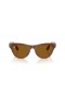 Ray-Ban RW4010 Ray-Ban | Meta Σκάιλερ M (52 - 20) με Καφέ φακούς και το Μπεζ πλαίσιο γυαλιά Ηλίου