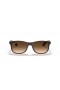 Ray-Ban RB4202 Andy M (55 - 17) με Καφέ φακούς και Καφετιά γυαλιά Ηλίου πλαισίων