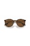 Ray-Ban RB2204 L (54 - 20) με Καφέ φακούς και Καφετιά γυαλιά Ηλίου πλαισίων