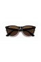 Ray-Ban RB2185 Οδοιπόρων II Classic L (55 - 18) με Καφέ φακούς και γυαλιά Ηλίου πλαισίων Tortoise