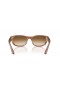 Ray-Ban RB2289 Mega Balorama M (60 - 19) με Καφέ φακούς και γυαλιά Ηλίου πλαισίων Tortoise