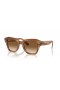 Ray-Ban RB2186 State Street L (52 - 20) με Καφέ φακούς και γυαλιά Ηλίου πλαισίων Tortoise