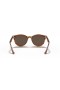 Ray-Ban RB4305 M (53 - 19) με Καφέ φακούς και Γυαλιά Κόκκινο πλαίσιο