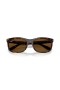 Ray-Ban RB2389 Balorette M (57 - 19) με Καφέ φακούς και γυαλιά Ηλίου πλαισίων Tortoise