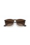 Ray-Ban Chris RB4187 M (54 - 18) με Καφέ φακούς και γυαλιά Ηλίου πλαισίων Tortoise