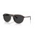 Ray-Ban RB2215 XL (56 - 20) Î¼Îµ Î¼Î±ÏÏÎ¿Ï…Ï‚ Ï†Î±ÎºÎ¿ÏÏ‚ ÎºÎ±Î¹ Î³Ï…Î±Î»Î¹Î¬ Î—Î»Î¯Î¿Ï… Ï€Î»Î±Î¹ÏƒÎ¯Ï‰Î½ Tortoise